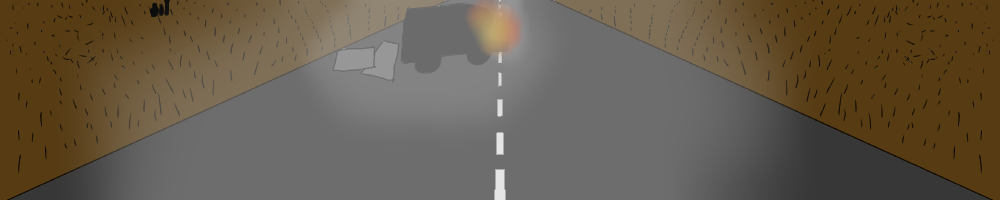 004: Wind and Wheat Stubble